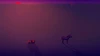 Bascule's HAJIHAJI Interactive CM 1