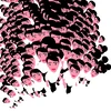 KOKUHAKU 1