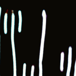 hello world ( MuDA Version) 1